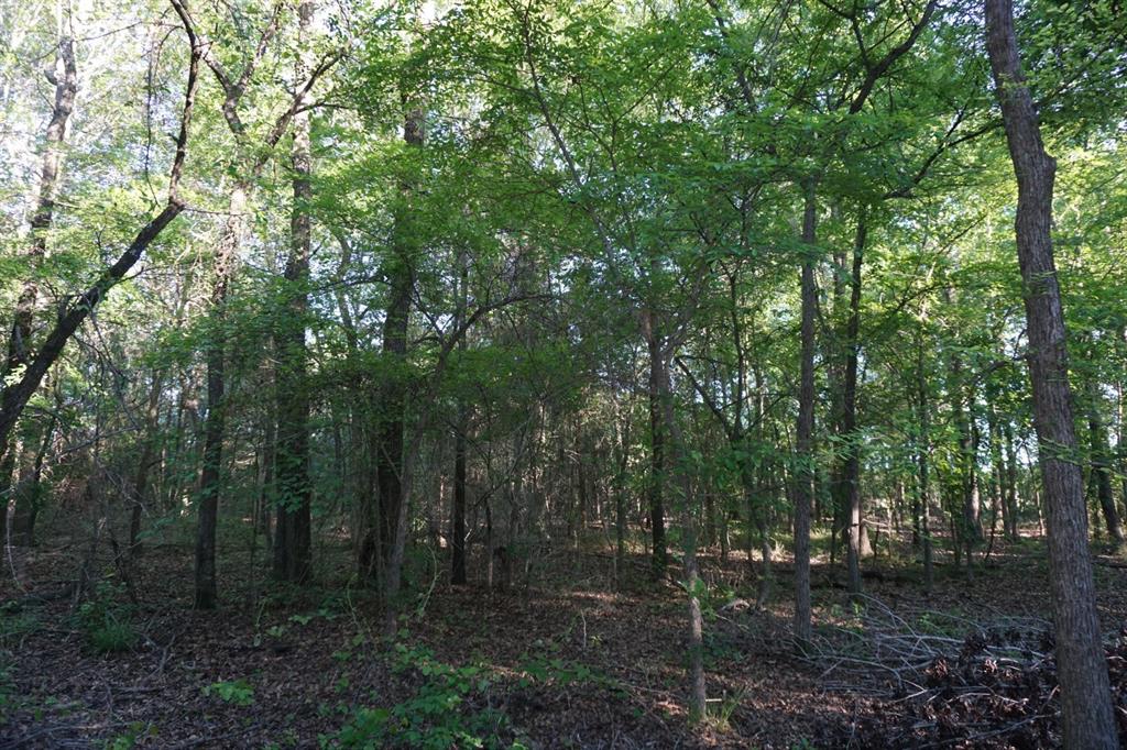 6902 Stella Street Murchison, TX 75778 - Photo 18 of 33