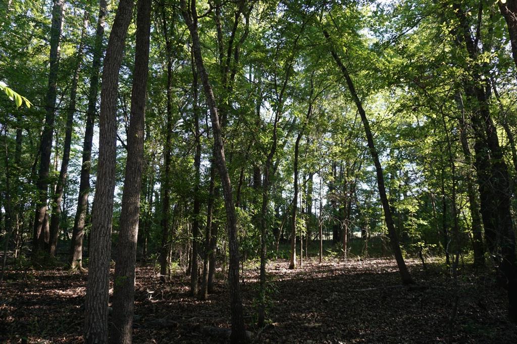 6902 Stella Street Murchison, TX 75778 - Photo 19 of 33