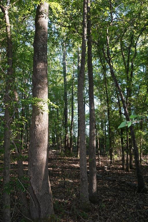 6902 Stella Street Murchison, TX 75778 - Photo 20 of 33