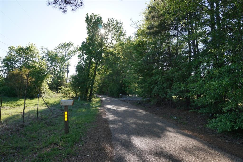 6902 Stella Street Murchison, TX 75778 - Photo 2 of 33