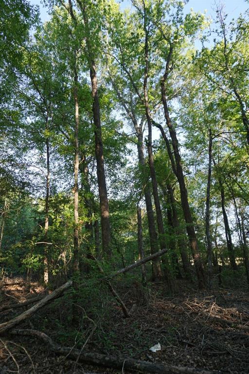 6902 Stella Street Murchison, TX 75778 - Photo 22 of 33