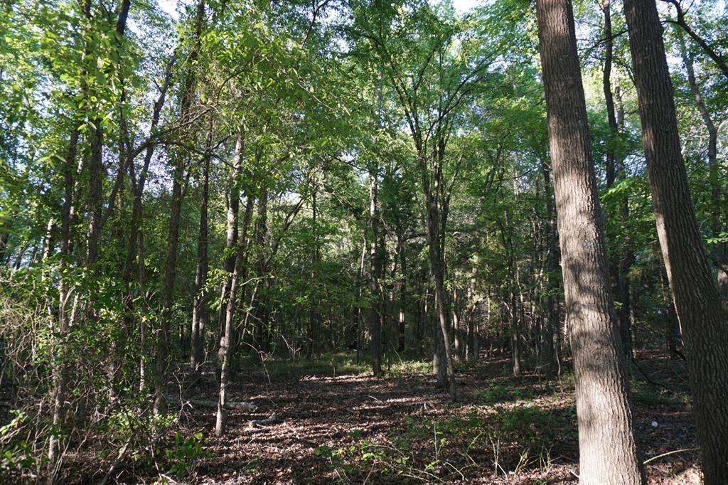 6902 Stella Street Murchison, TX 75778 - Photo 23 of 33