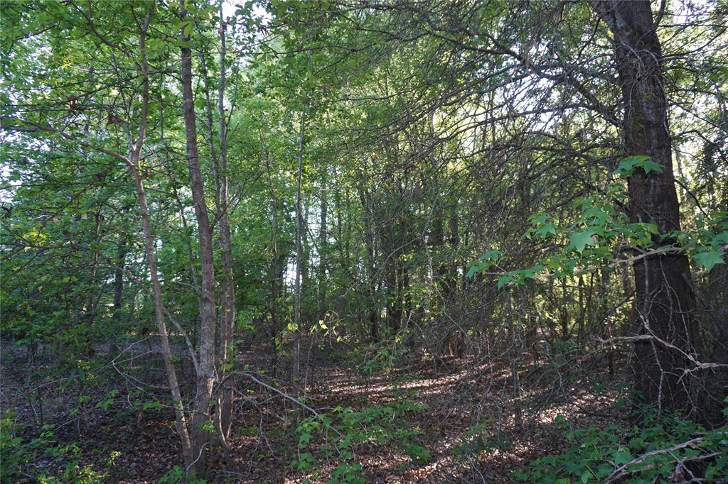 6902 Stella Street Murchison, TX 75778 - Photo 26 of 33