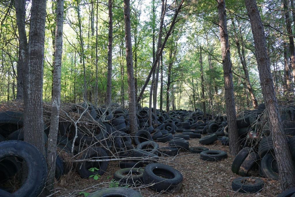 6902 Stella Street Murchison, TX 75778 - Photo 28 of 33