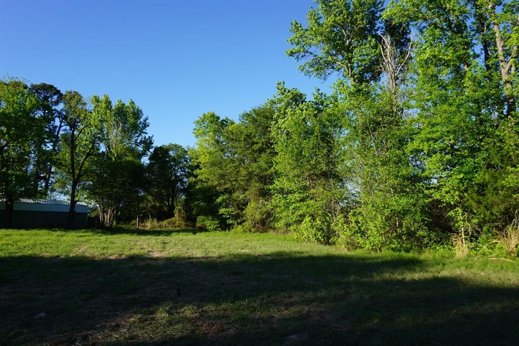 6902 Stella Street Murchison, TX 75778 - Photo 29 of 33