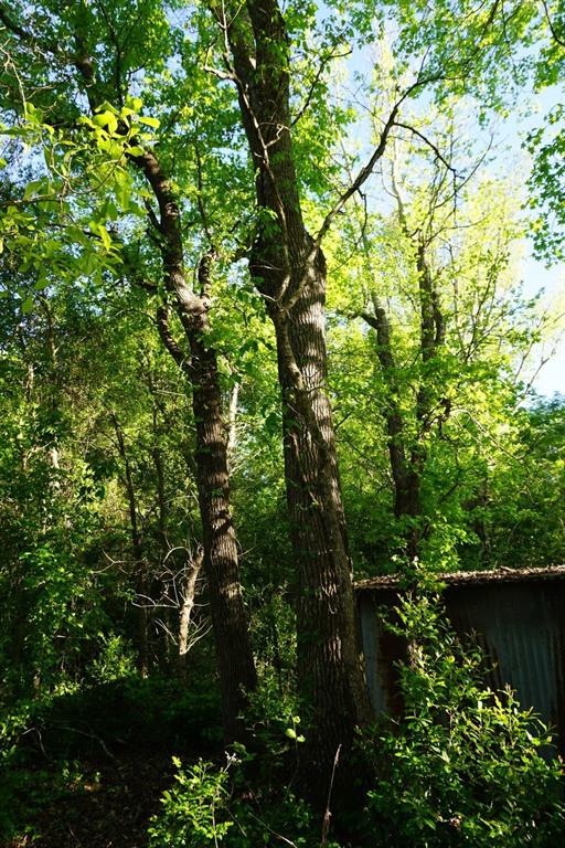 6902 Stella Street Murchison, TX 75778 - Photo 30 of 33