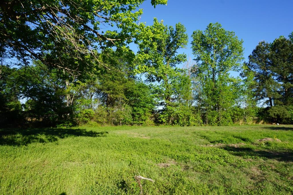 6902 Stella Street Murchison, TX 75778 - Photo 3 of 33