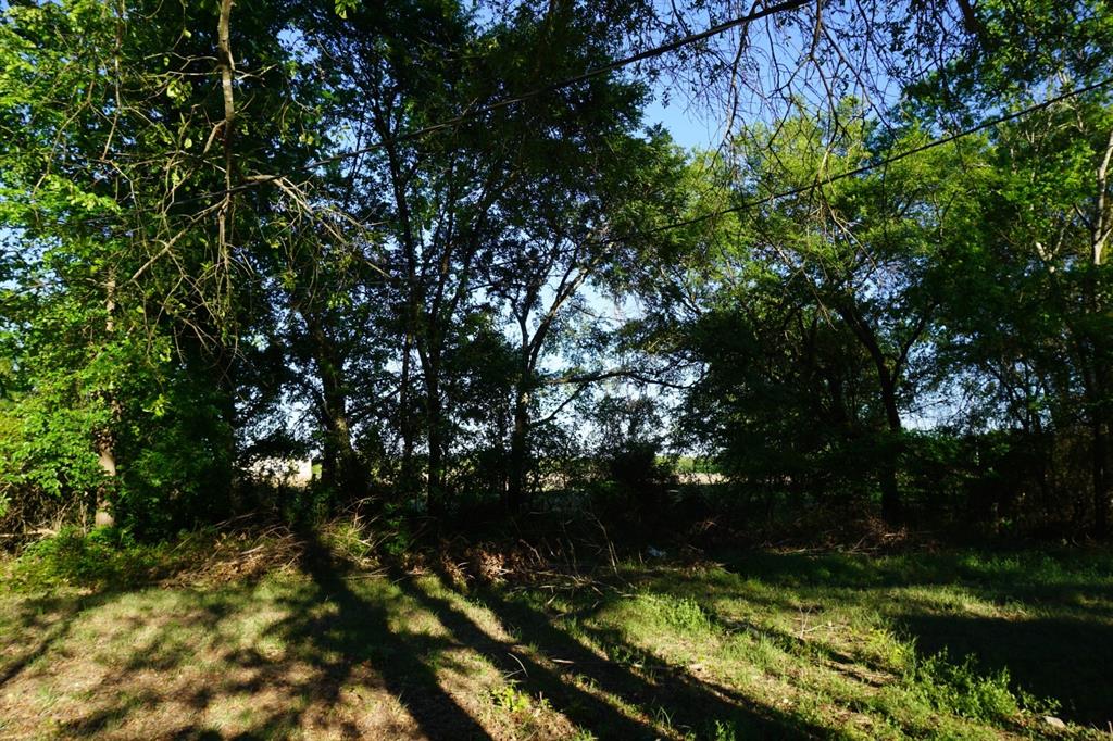 6902 Stella Street Murchison, TX 75778 - Photo 32 of 33