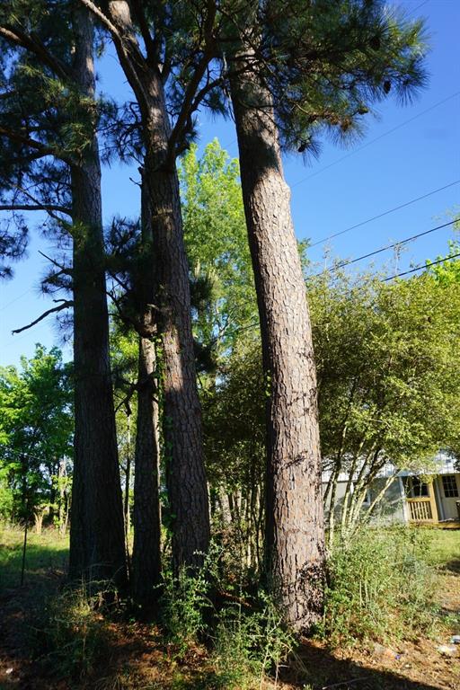 6902 Stella Street Murchison, TX 75778 - Photo 5 of 33