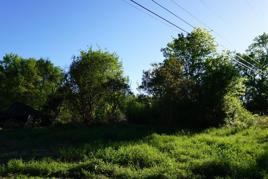 6902 Stella Street Murchison, TX 75778 - Photo 6 of 33