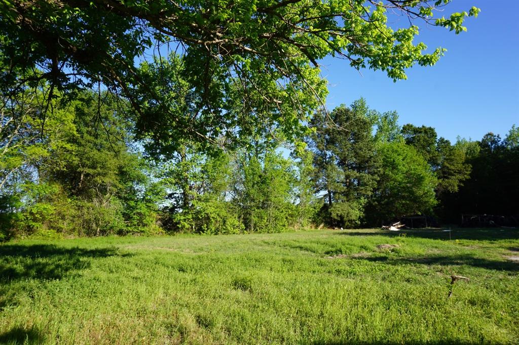 6902 Stella Street Murchison, TX 75778 - Photo 8 of 33