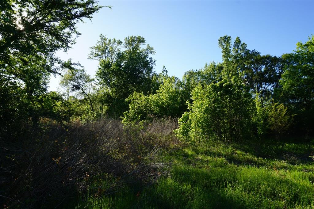 6902 Stella Street Murchison, TX 75778 - Photo 9 of 33