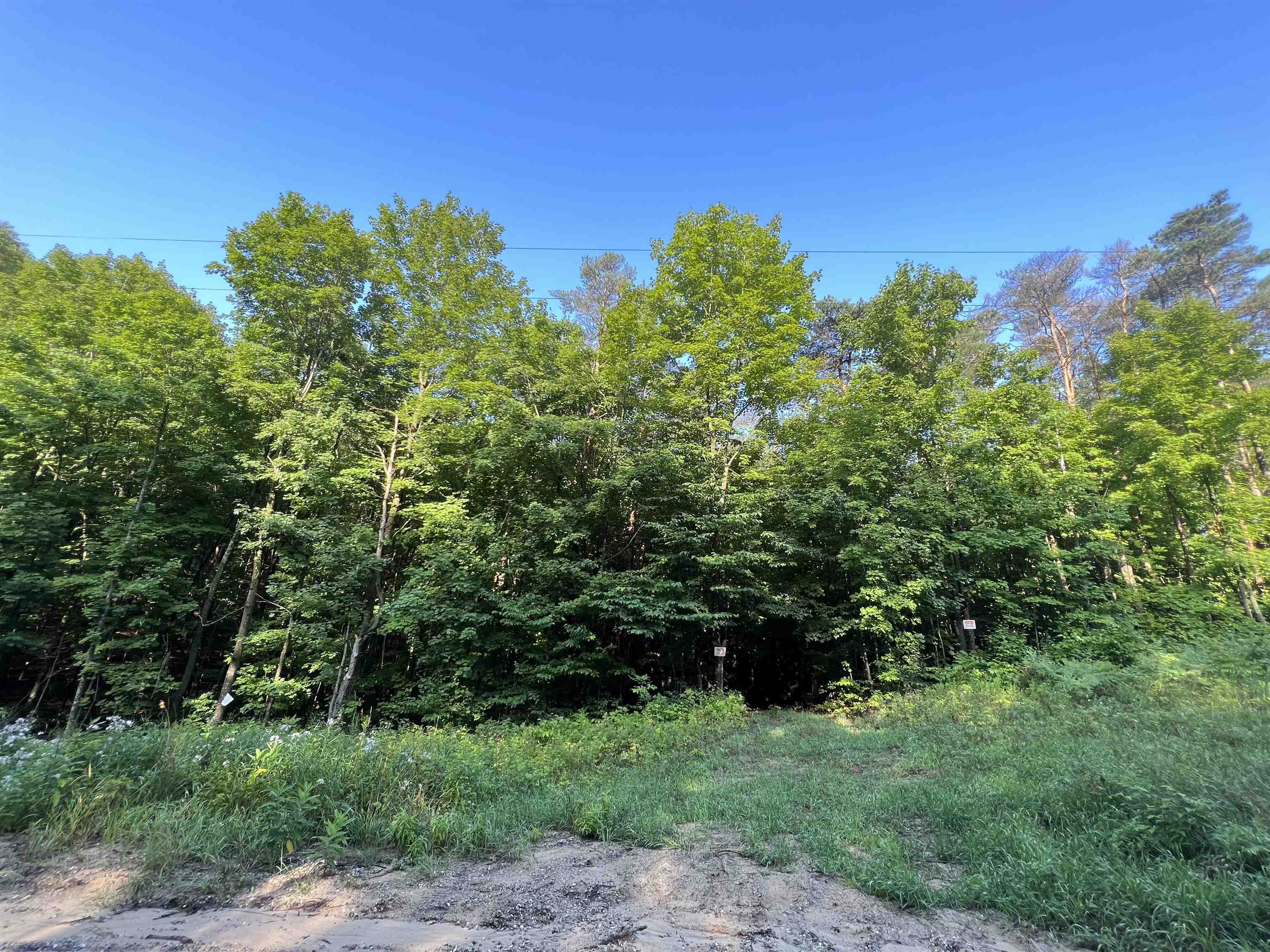 0 Narrow Gauge Road, Unit PARCEL B Beulah, MI 49617 - Photo 5 of 6