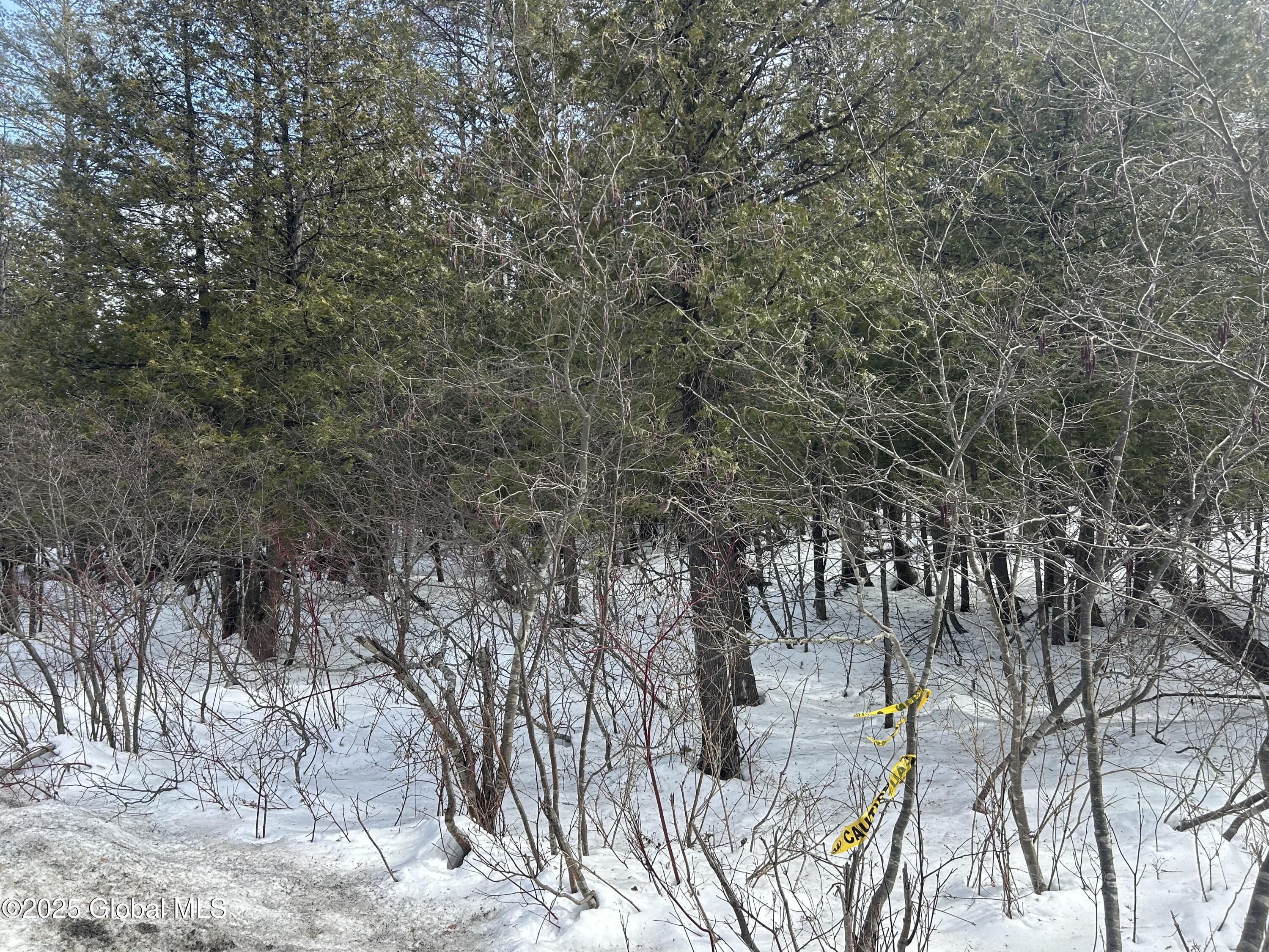 L24 Hogback Road Crown Point, NY 12928 - Photo 4 of 5 Hog back 50 acre