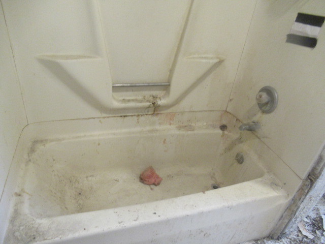 113 North Spring Street Franklin Grove, IL 61031 - Photo 7 of 21