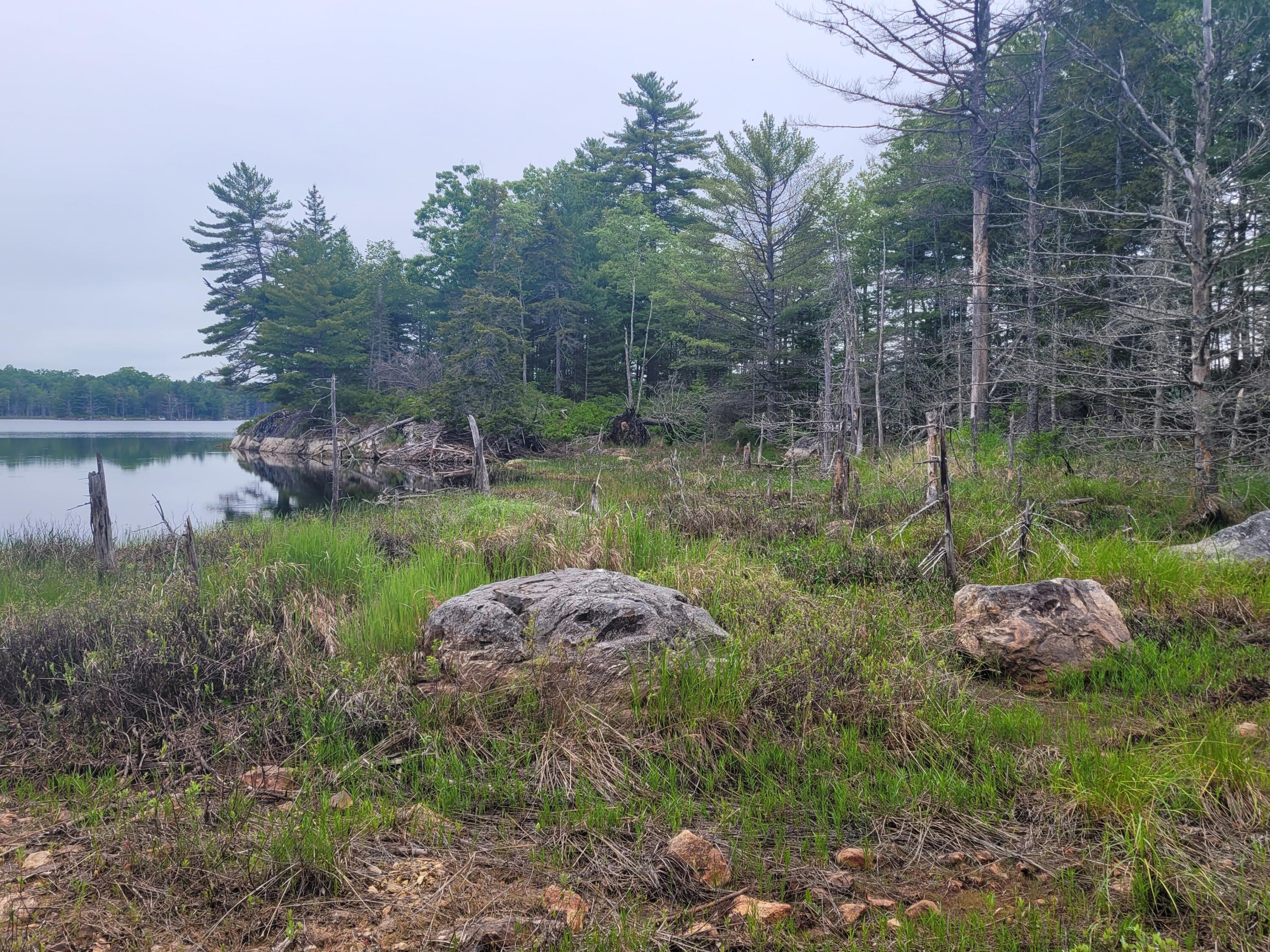Tbd Grindleville Road Blue Hill, ME 04614 - Photo 43 of 52 Second Pond