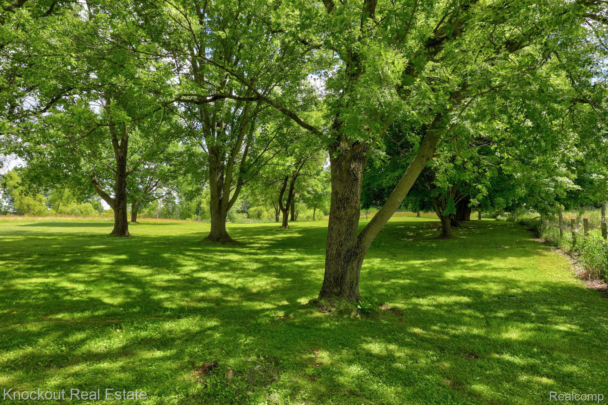 4585 Birch Run Road Millington, MI 48746 - Photo 44 of 59 41-web-or-mls-4585 Birch Run Rd Millington -41.jpg
