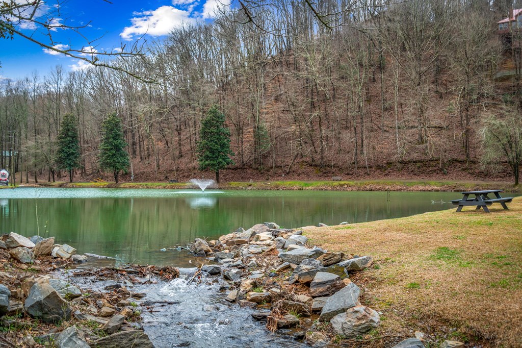 1503 Garnet Drive Ellijay, GA 30540 - Photo 33 of 33