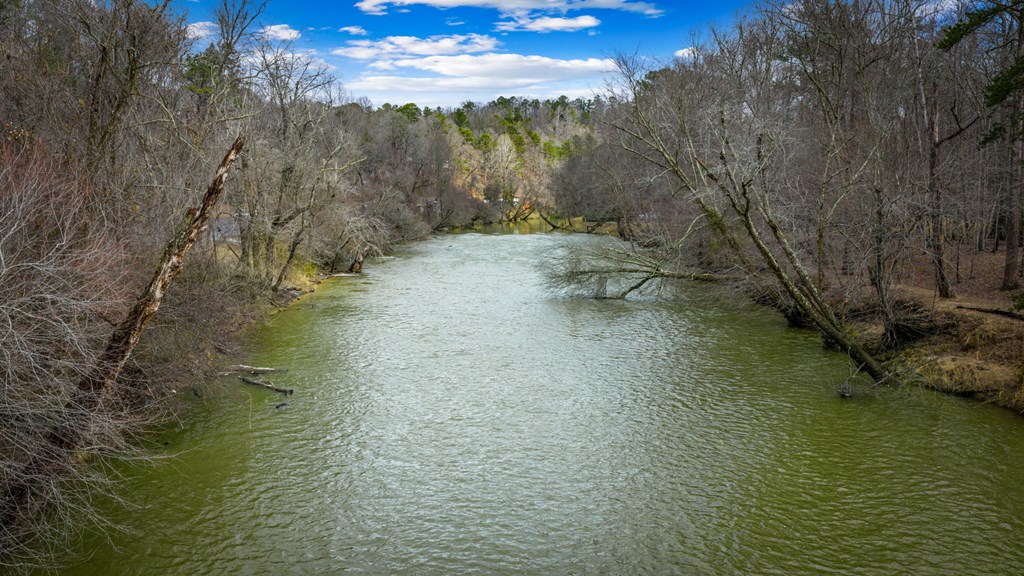 1503 Garnet Drive Ellijay, GA 30540 - Photo 6 of 33