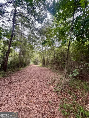 a view of outdoor space and yard