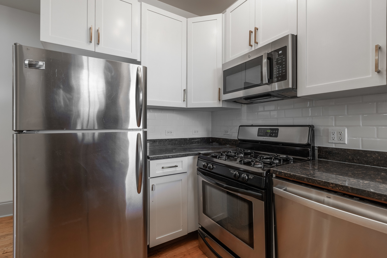 4855 North Springfield Avenue, Unit 3 Chicago, IL 60625 - Photo 4 of 19