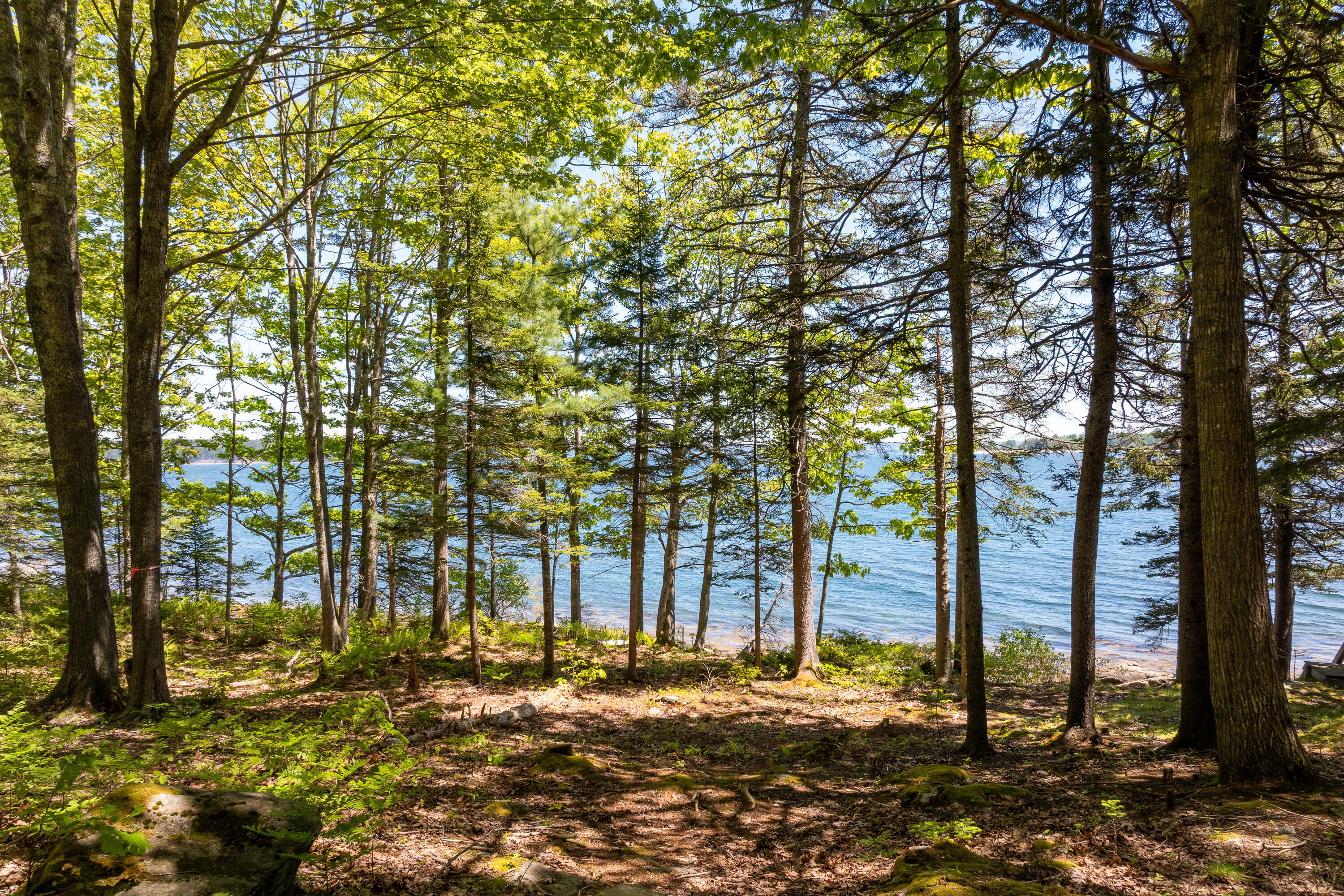 153 Back Shore Road Bristol, ME 04564 - Photo 87 of 103