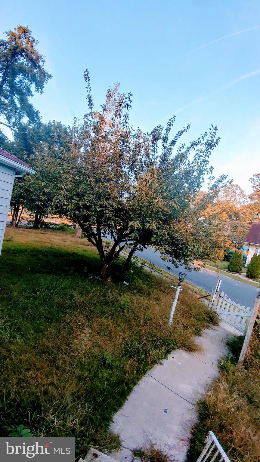 66 Princeton Road Clementon, NJ 08021 - Photo 12 of 53