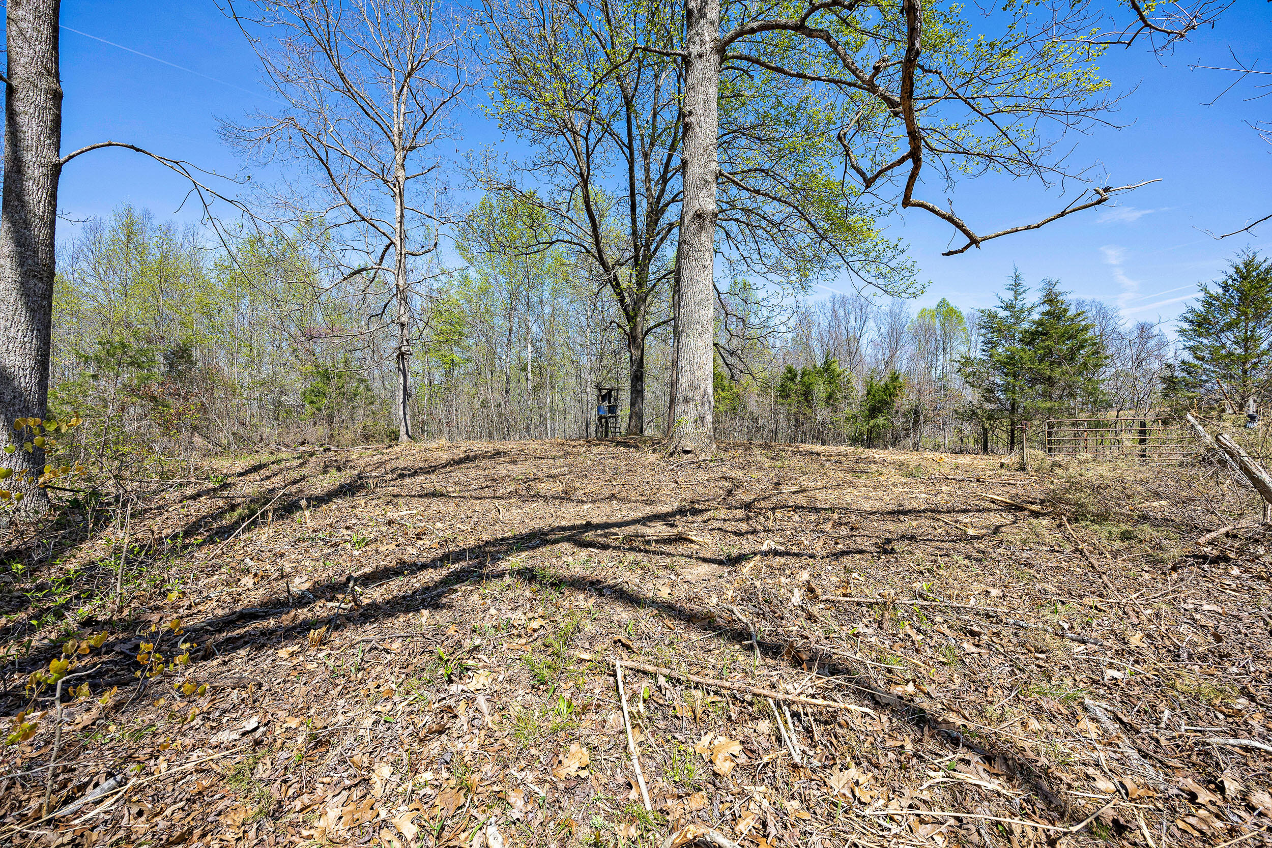 0 Brushy Road Mount Sherman, KY 42764 - Photo 6 of 6 BrushyRd-9