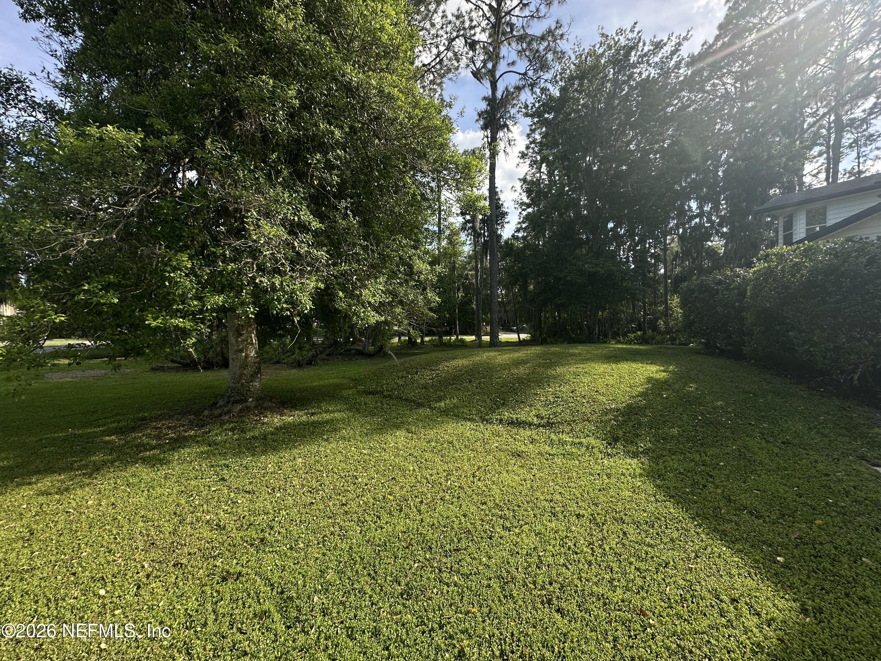 6456 Jack Wright Island Road St. Augustine, FL 32092 - Photo 33 of 44 Lot View