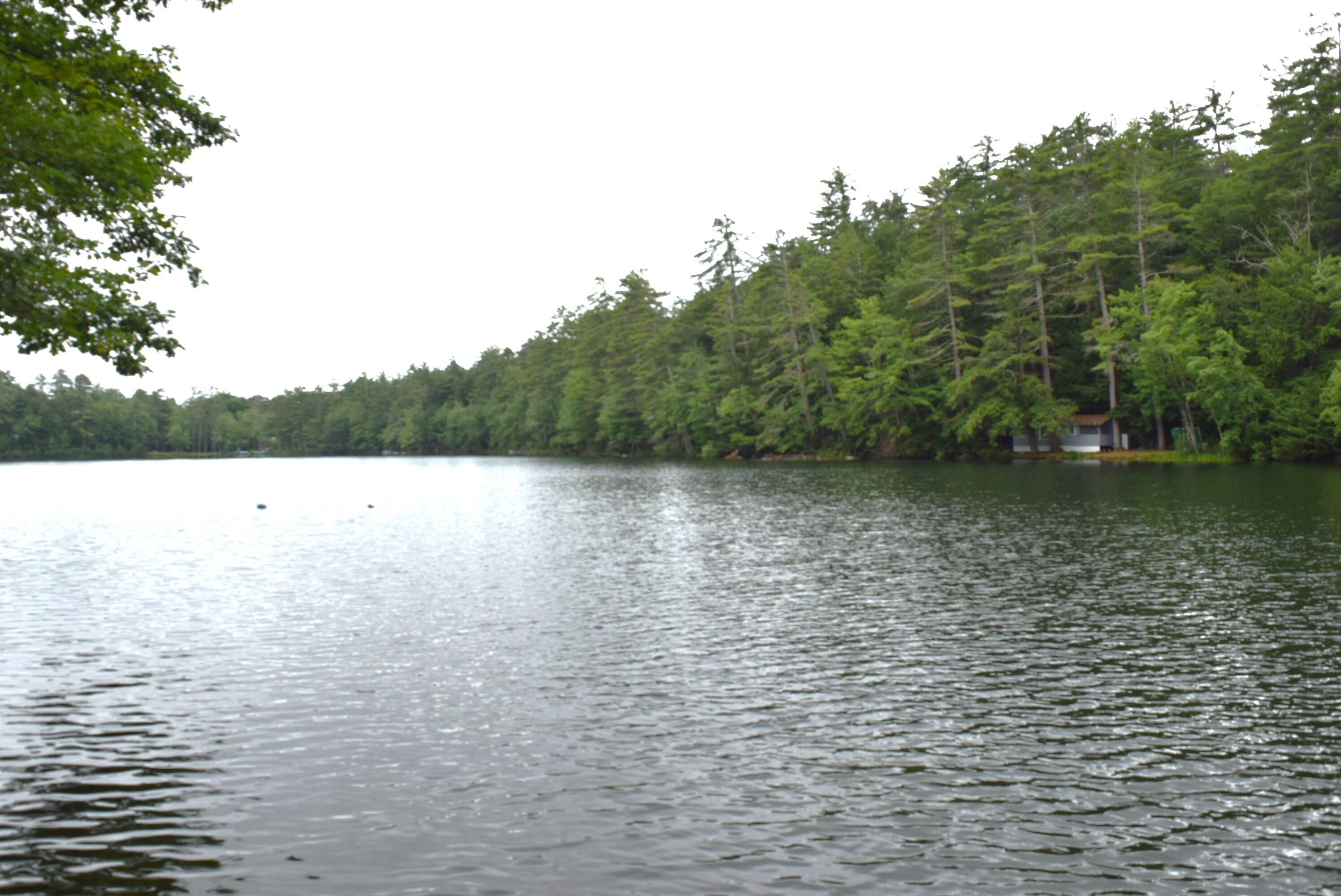 55 Sandy Bottom Road Turner, ME 04282 - Photo 12 of 35 Pond view