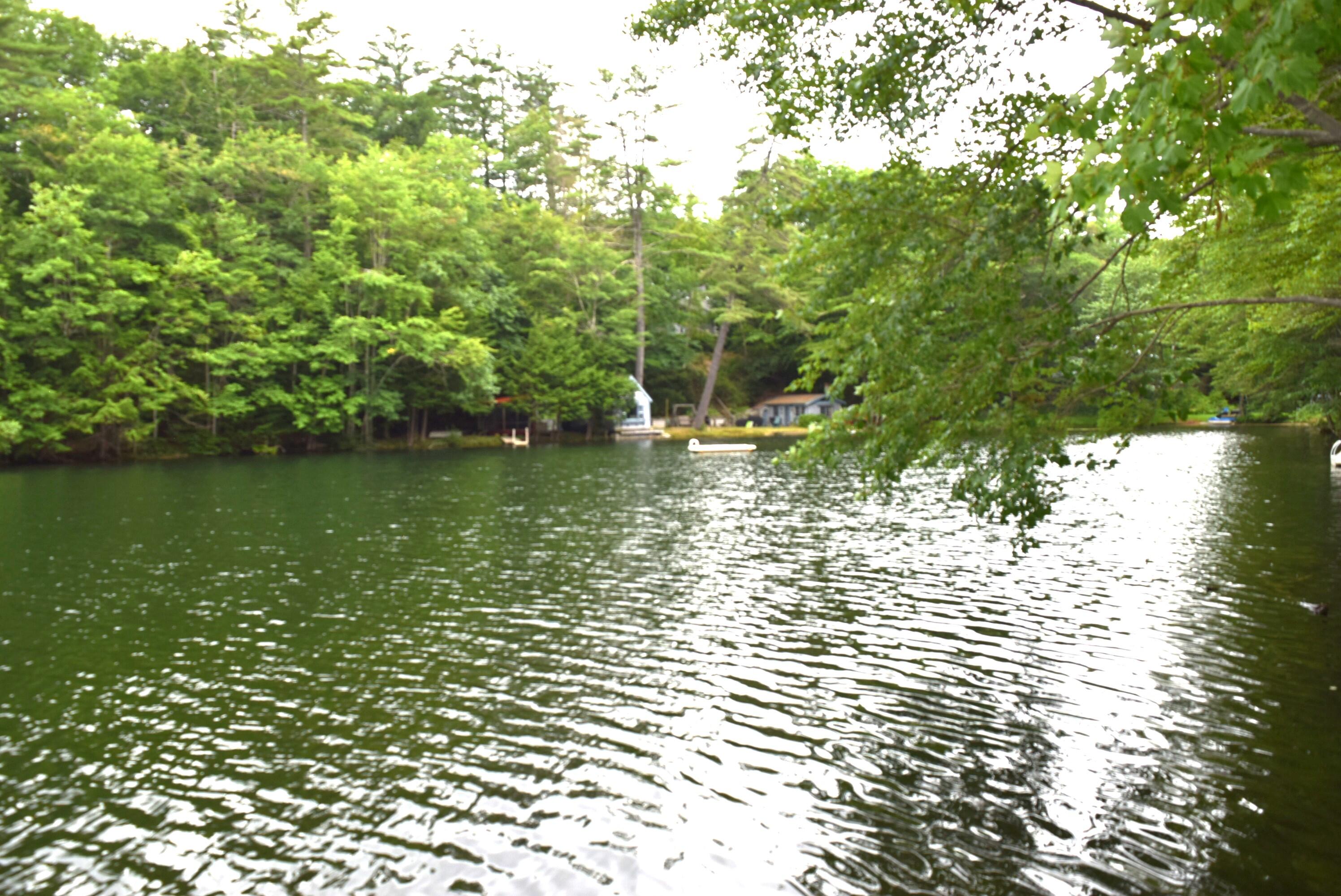 55 Sandy Bottom Road Turner, ME 04282 - Photo 13 of 35 Pond view