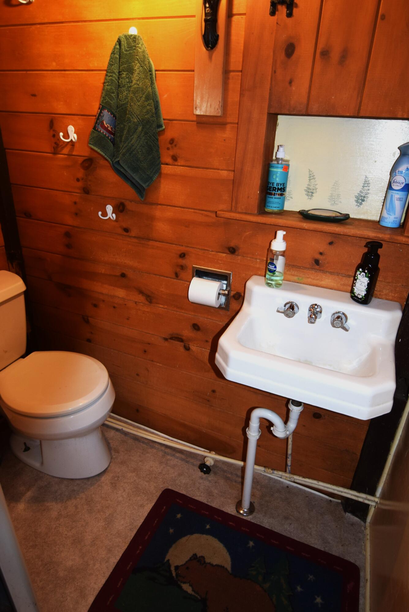 55 Sandy Bottom Road Turner, ME 04282 - Photo 31 of 35 Bathroom
