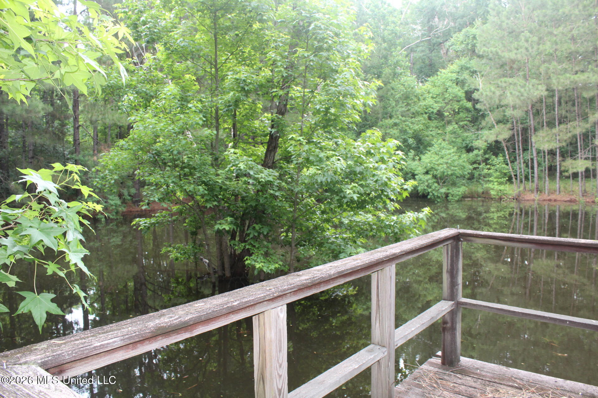 429 River Rd Drive Southeast Bogue Chitto, MS 39629 - Photo 13 of 38 IMG_9730