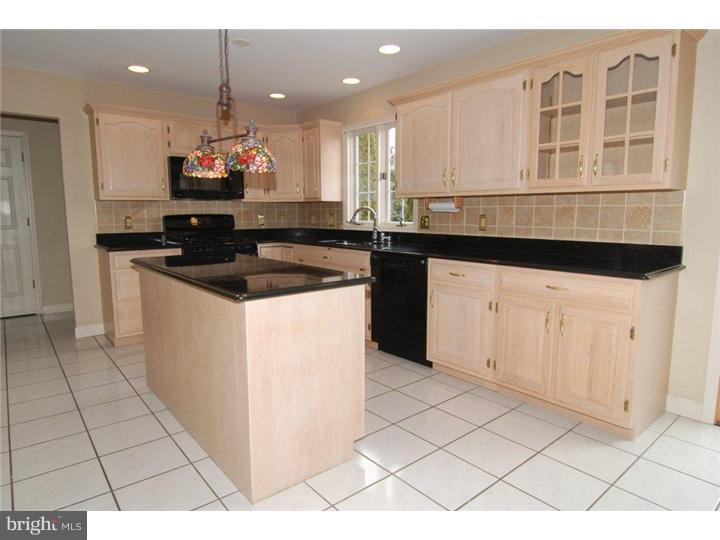 11 Boardwalk Court Sinking Spring, PA 19608 - Photo 7 of 25 Kitchen