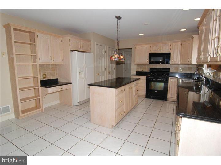 11 Boardwalk Court Sinking Spring, PA 19608 - Photo 8 of 25 Kitchen