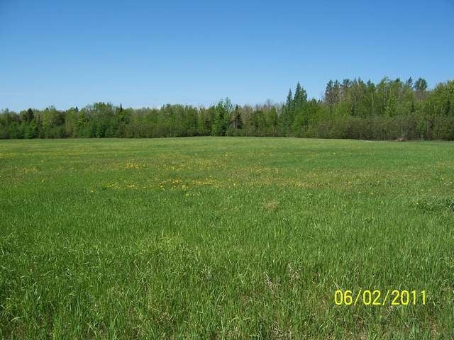 78-acres Keith Siding Road Crandon, WI 54520 - Photo 3 of 19 Gallery Image 3