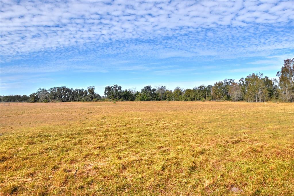0 Colding Loop Wimauma, FL 33598 - Photo 9 of 10 a view of an ocean