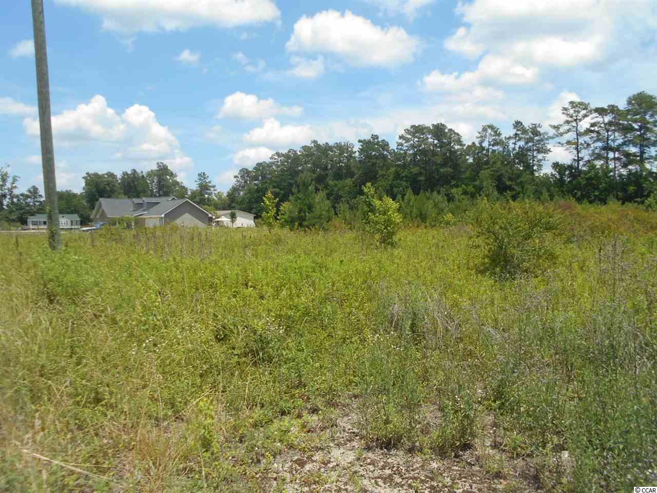 Lot 3 Elbow Road Conway, SC 29527 - Photo 4 of 11 Gallery Image 4