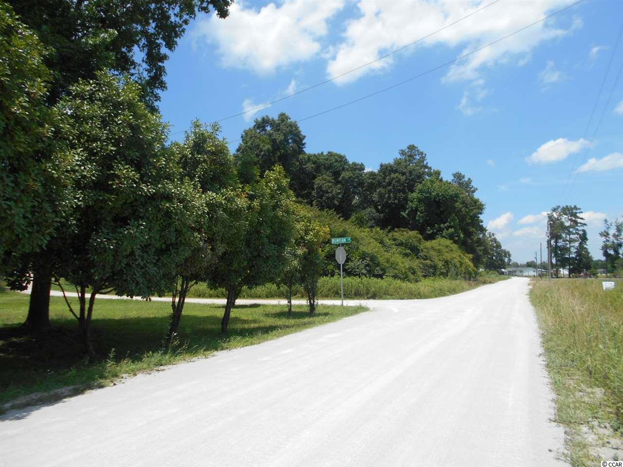 Lot 3 Elbow Road Conway, SC 29527 - Photo 5 of 11 Gallery Image 5