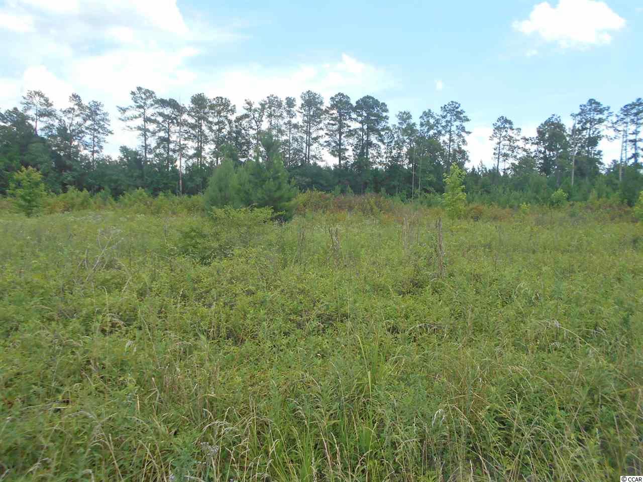 Lot 3 Elbow Road Conway, SC 29527 - Photo 8 of 11 Gallery Image 8