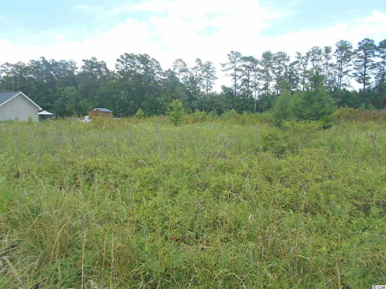 Lot 3 Elbow Road Conway, SC 29527 - Photo 9 of 11 Gallery Image 9