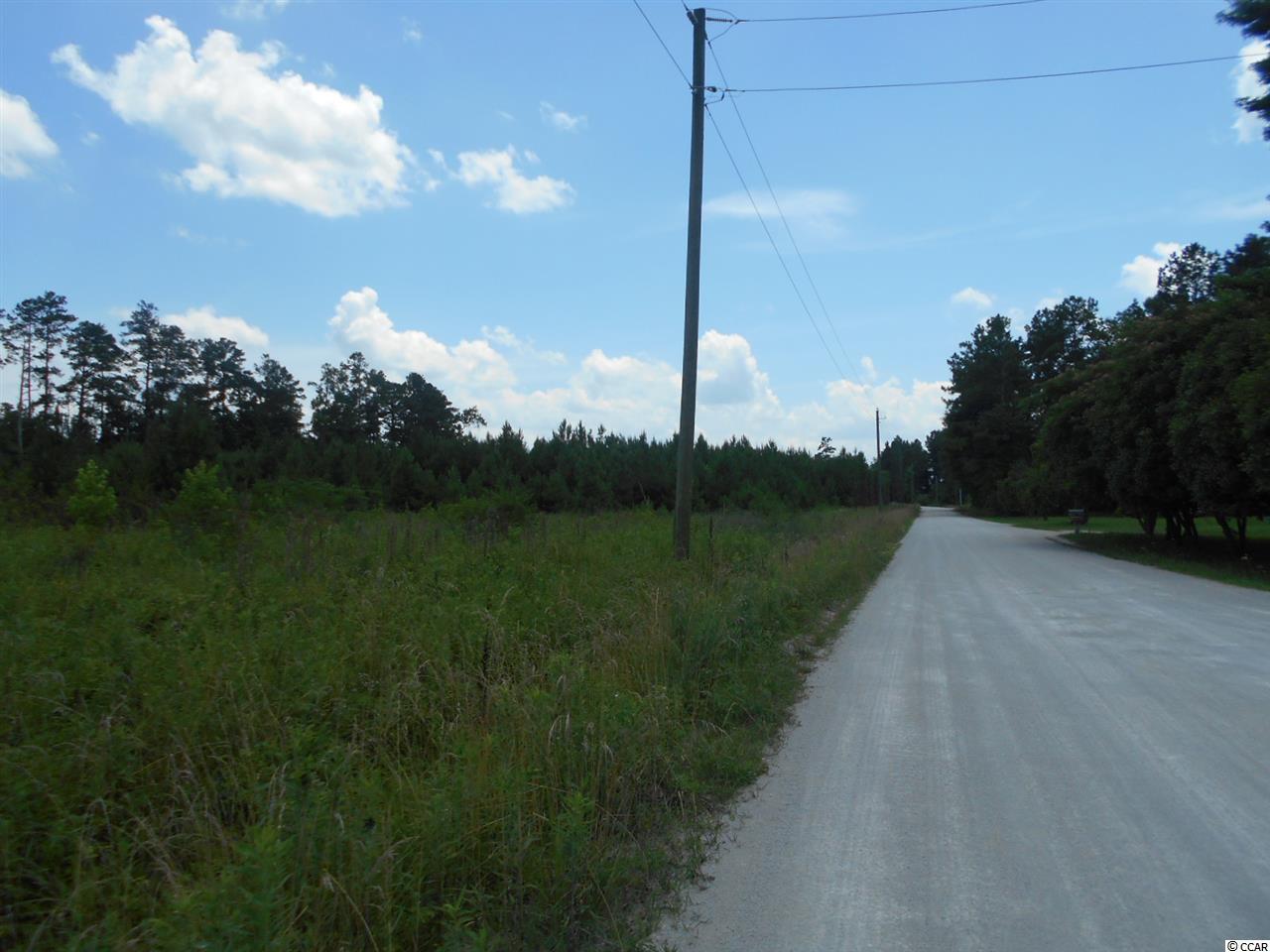 Lot 3 Elbow Road Conway, SC 29527 - Photo 10 of 11 Gallery Image 10