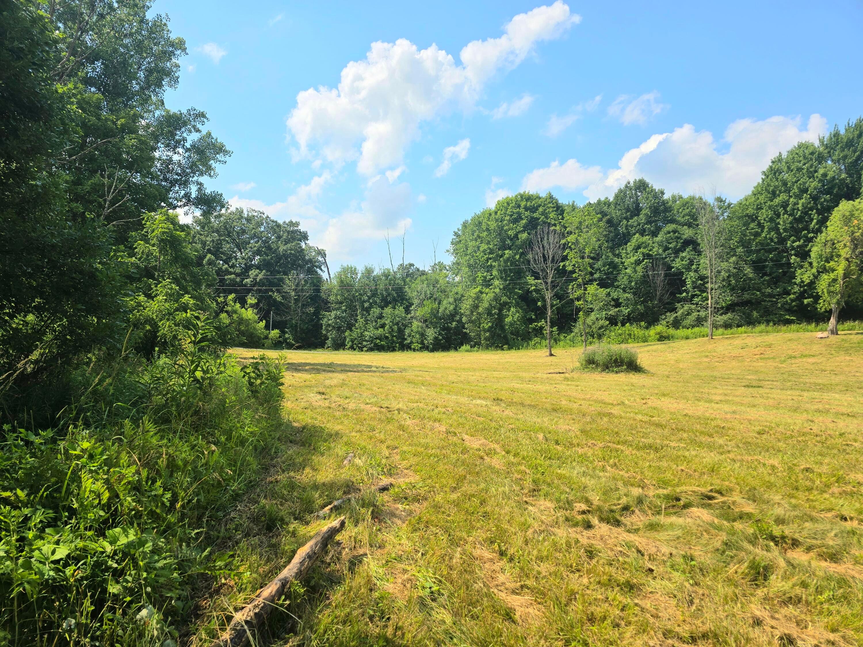 9026 Gregg Road Fredericktown, OH 43019 - Photo 4 of 17 1000062301