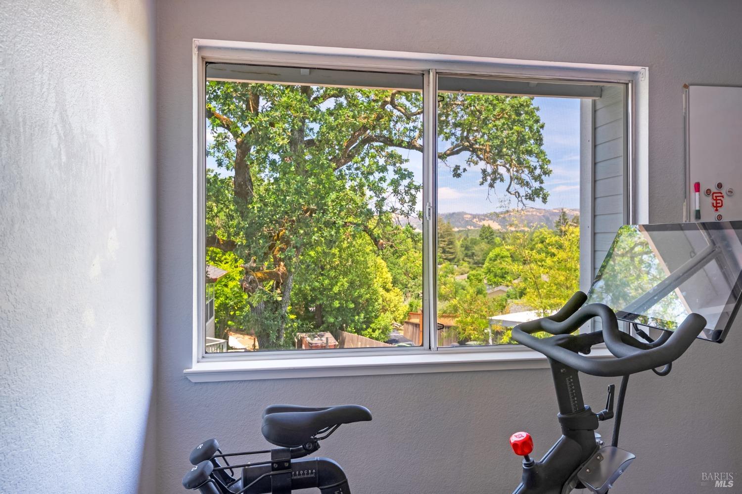 1508 Ronne Drive Santa Rosa, CA 95404 - Photo 33 of 55 a view of a window in the room