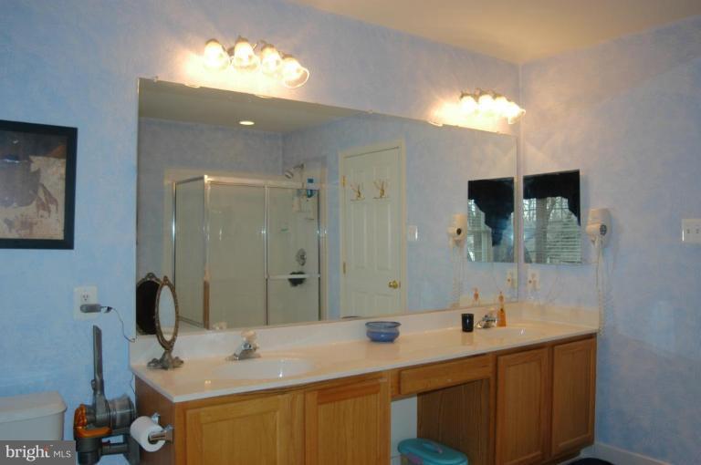 1503 Ridge Forest Way Hanover, MD 21076 - Photo 13 of 16 a bathroom with a sink and a mirror