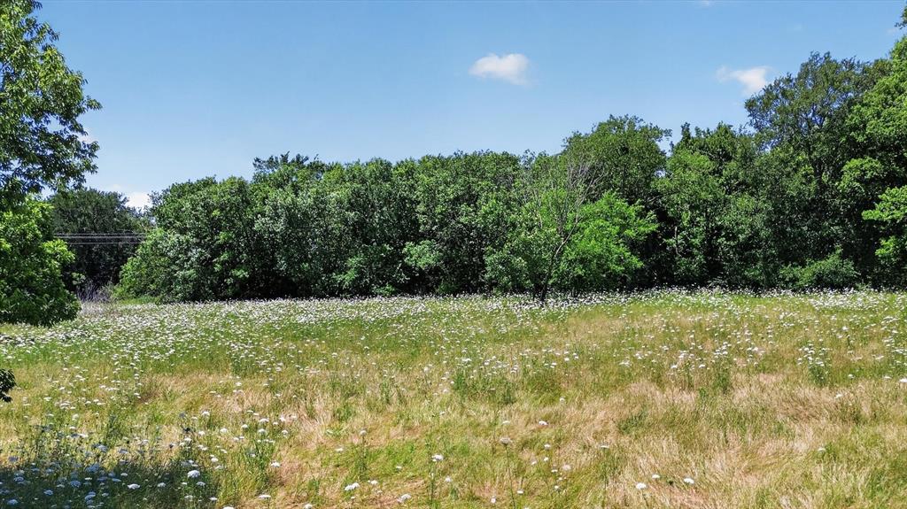 613 Main Street Quinlan, TX 75474 - Photo 10 of 16 Expansive open field featuring natural grasses and white wildflowers, bordered by a dense tree line under a clear blue sky