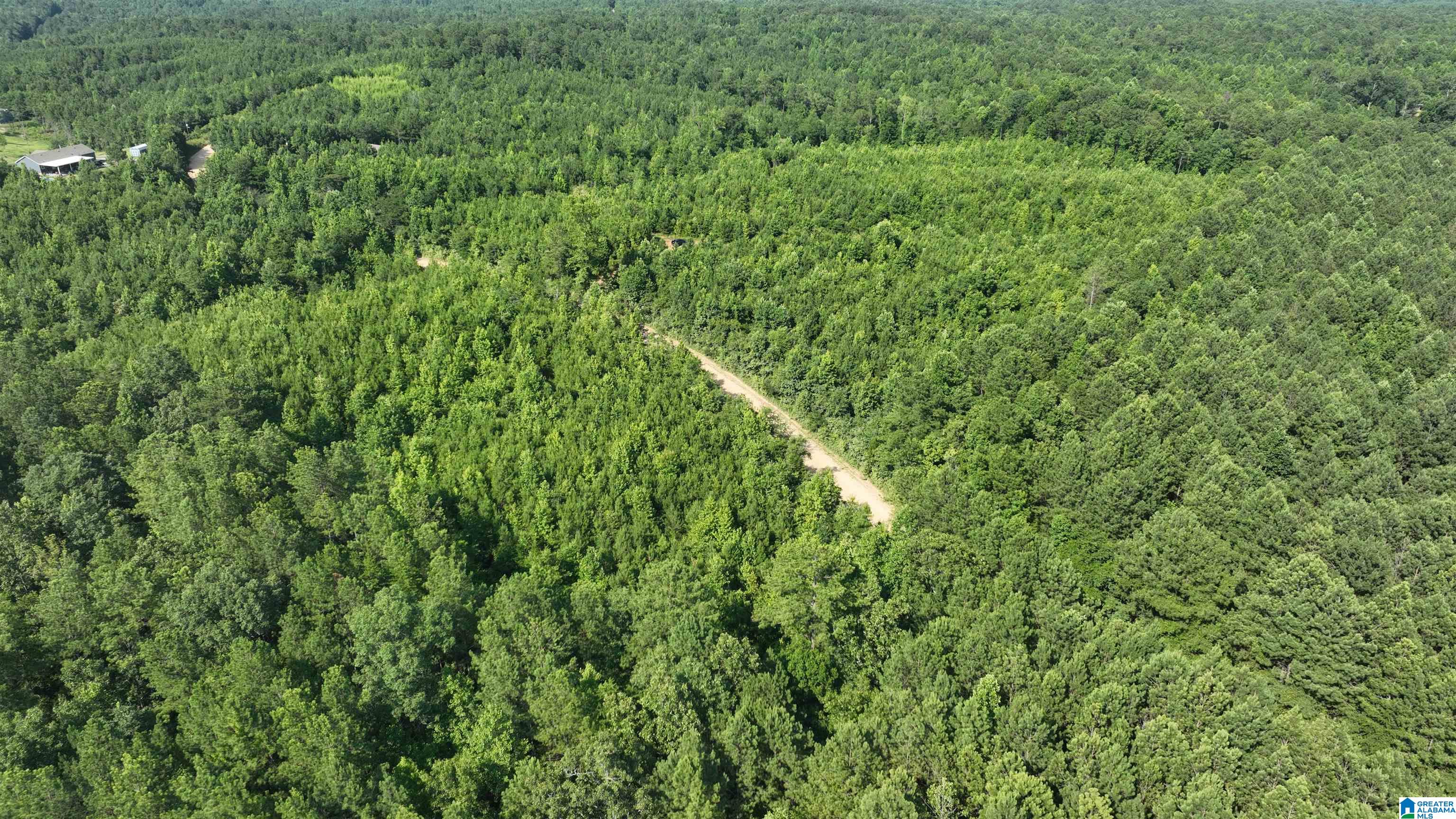 2 County Road 253, Unit 2 Clanton, AL 35046 - Photo 27 of 40