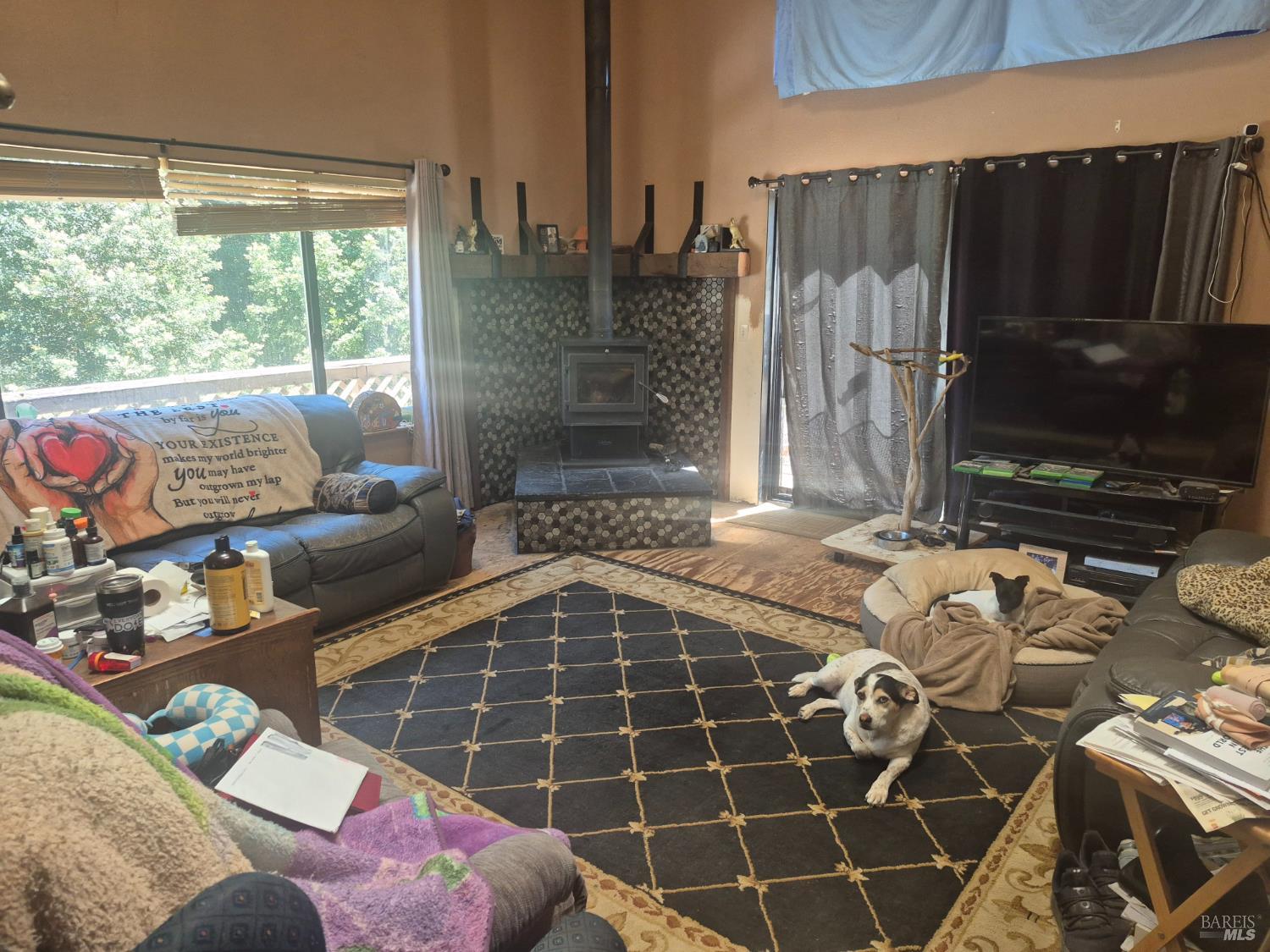 29600 Timberline Road Willits, CA 95490 - Photo 5 of 13