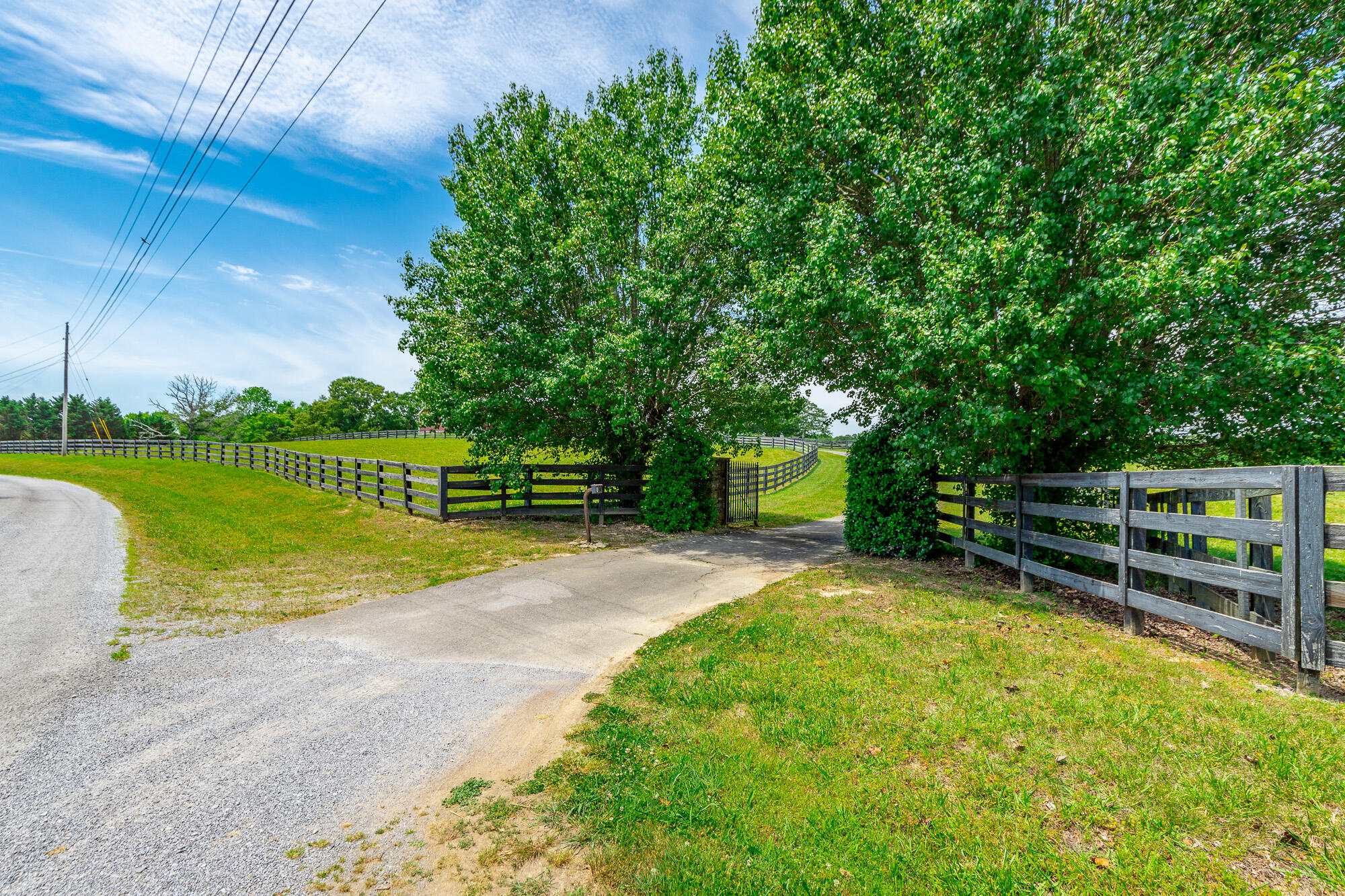 7015 B K Ranch Road Georgetown, TN 37336 - Photo 97 of 144 7015 B K RAnch Road HD-123