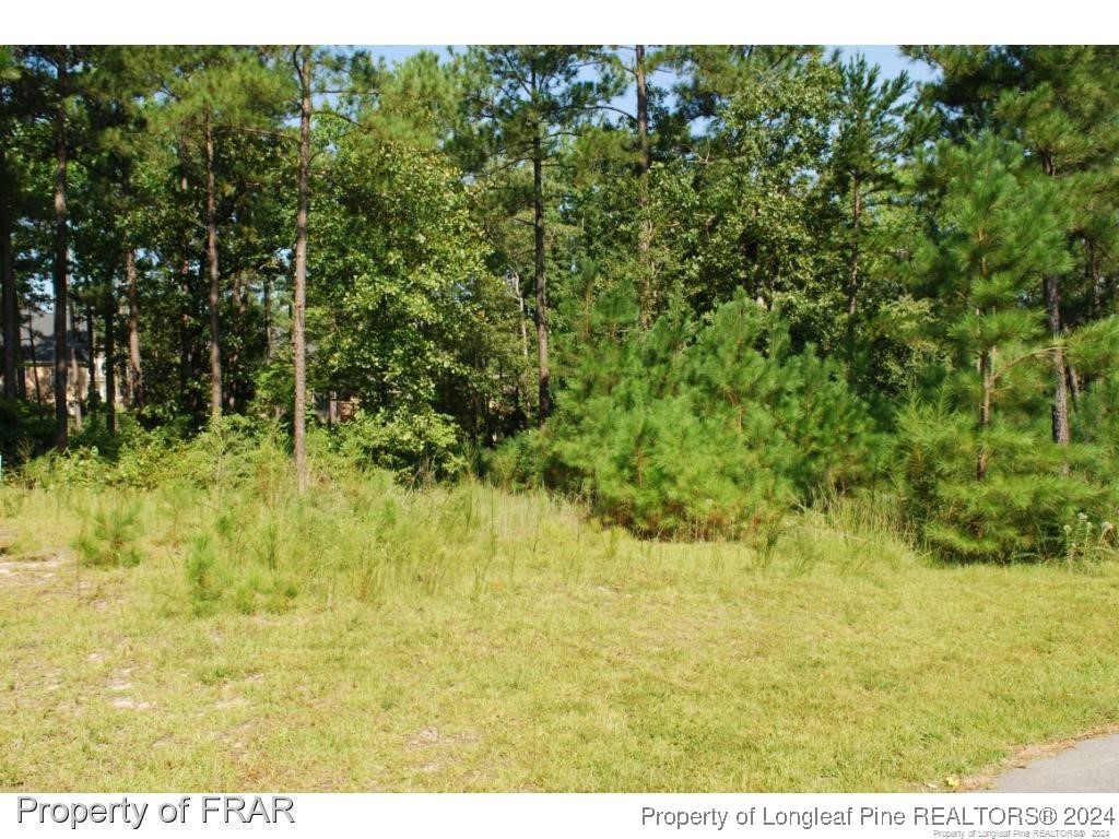 232 Broadlake Lane Spring Lake, NC 28390 - Photo 3 of 8